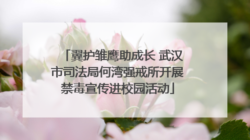 翼护雏鹰助成长 武汉市司法局何湾强戒所开展禁毒宣传进校园活动