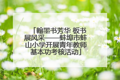 翰墨书芳华 板书展风采——蚌埠市蚌山小学开展青年教师基本功考核活动