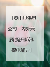 罗山县供电公司：内外兼顾 提升防汛保电能力