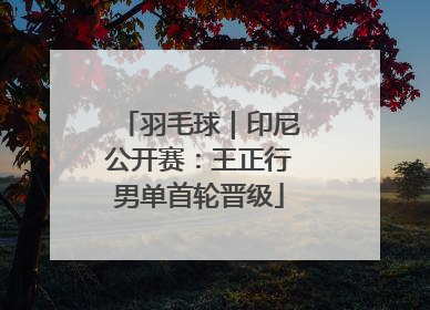 羽毛球｜印尼公开赛：王正行男单首轮晋级