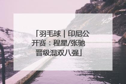 羽毛球｜印尼公开赛：程星/张驰晋级混双八强