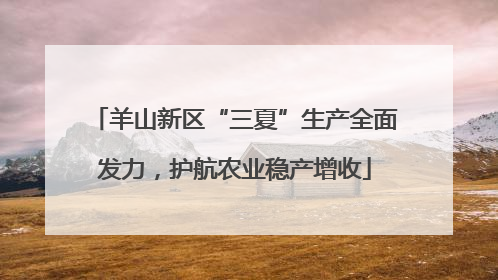 羊山新区“三夏”生产全面发力，护航农业稳产增收