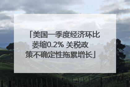 美国一季度经济环比萎缩0.2% 关税政策不确定性拖累增长