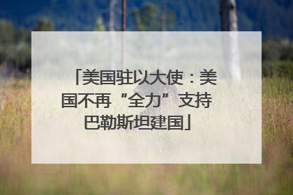 美国驻以大使：美国不再“全力”支持巴勒斯坦建国