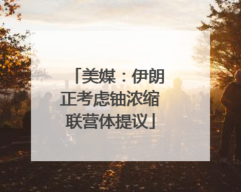 美媒：伊朗正考虑铀浓缩联营体提议