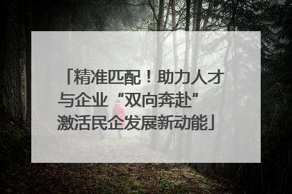 精准匹配！助力人才与企业“双向奔赴” 激活民企发展新动能