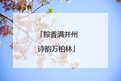 粽香满并州 诗韵万柏林