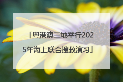粤港澳三地举行2025年海上联合搜救演习