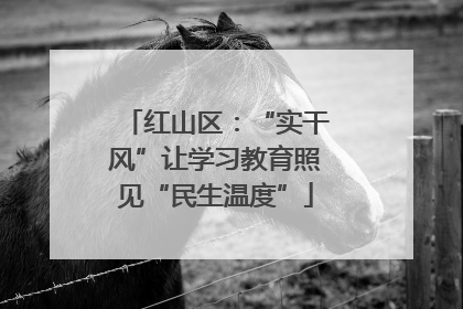 红山区：“实干风”让学习教育照见“民生温度”