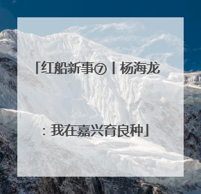 红船新事⑦丨杨海龙：我在嘉兴育良种