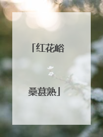 红花峪 桑葚熟