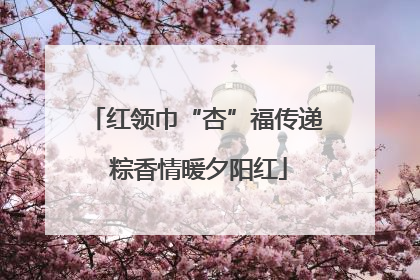 红领巾“杏”福传递 粽香情暖夕阳红