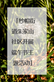 纱帽街道朱家山社区开展端午节主题活动