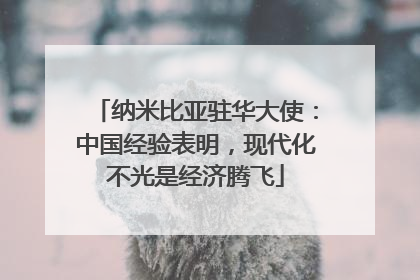 纳米比亚驻华大使：中国经验表明，现代化不光是经济腾飞