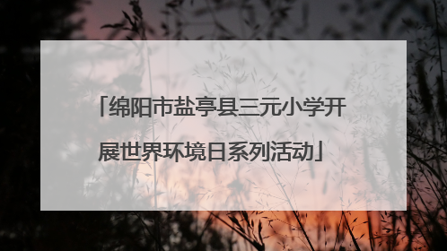 绵阳市盐亭县三元小学开展世界环境日系列活动