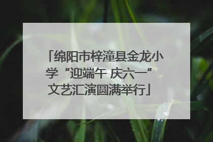 绵阳市梓潼县金龙小学“迎端午 庆六一”文艺汇演圆满举行
