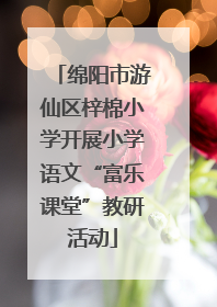 绵阳市游仙区梓棉小学开展小学语文“富乐课堂”教研活动