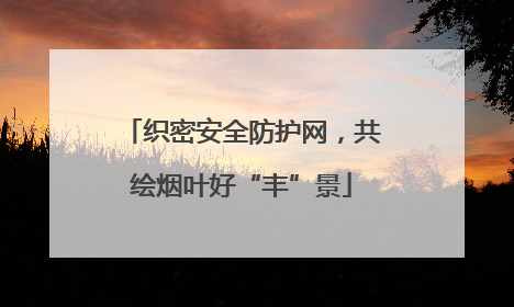 织密安全防护网，共绘烟叶好“丰”景