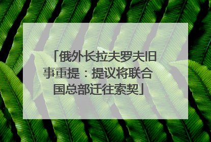 俄外长拉夫罗夫旧事重提：提议将联合国总部迁往索契