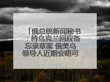 俄总统新闻秘书：待乌克兰回应备忘录草案 俄美乌领导人近期会晤可能性小