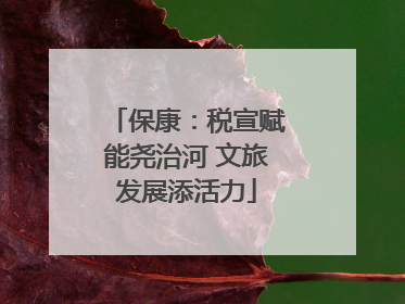 保康：税宣赋能尧治河 文旅发展添活力