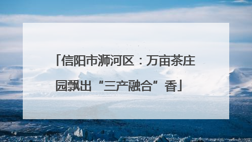 信阳市浉河区：万亩茶庄园飘出“三产融合”香