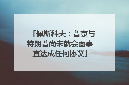 佩斯科夫：普京与特朗普尚未就会面事宜达成任何协议