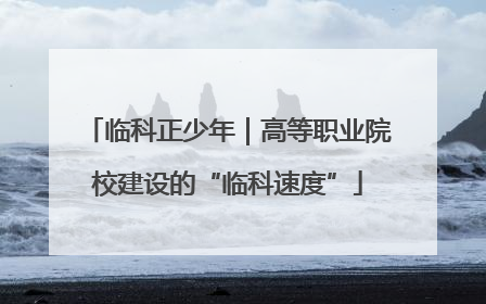 临科正少年｜高等职业院校建设的“临科速度”