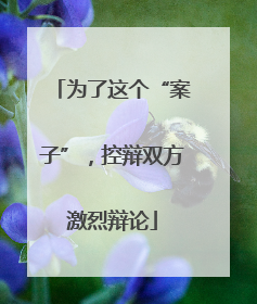 为了这个“案子”，控辩双方激烈辩论