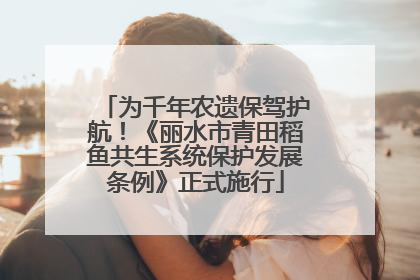 为千年农遗保驾护航！《丽水市青田稻鱼共生系统保护发展条例》正式施行