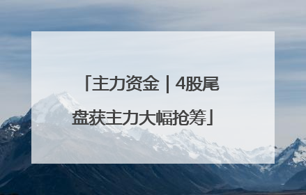 主力资金｜4股尾盘获主力大幅抢筹