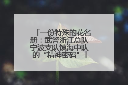 一份特殊的花名册：武警浙江总队宁波支队镇海中队的“精神密码”
