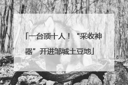 一台顶十人！“采收神器”开进邹城土豆地