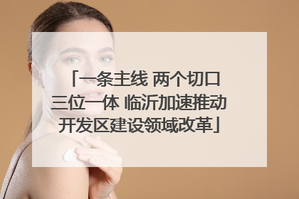 一条主线 两个切口 三位一体 临沂加速推动开发区建设领域改革