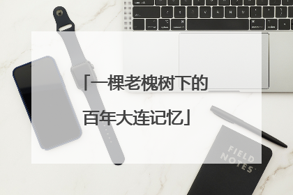 一棵老槐树下的百年大连记忆