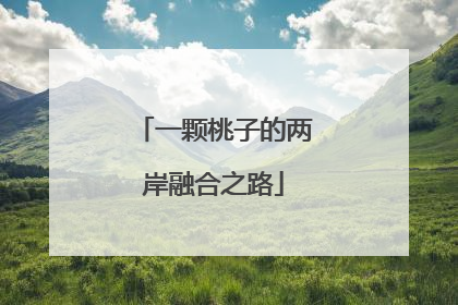 一颗桃子的两岸融合之路