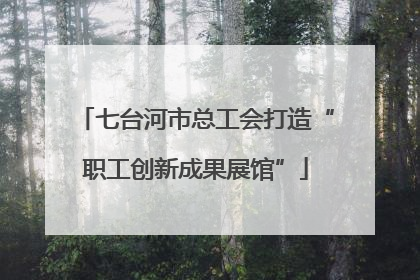 七台河市总工会打造“职工创新成果展馆”