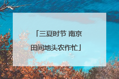 三夏时节 南京田间地头农作忙