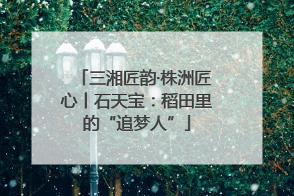 三湘匠韵·株洲匠心丨石天宝：稻田里的“追梦人”