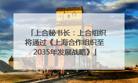 上合秘书长：上合组织将通过《上海合作组织至2035年发展战略》