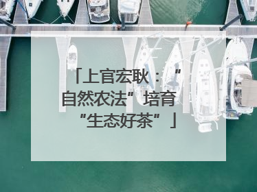 上官宏耿：“自然农法”培育“生态好茶”