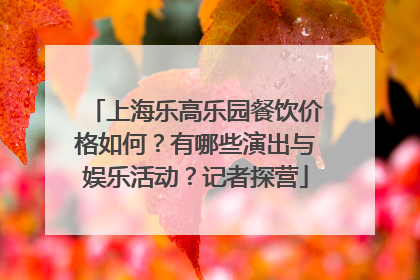 上海乐高乐园餐饮价格如何？有哪些演出与娱乐活动？记者探营