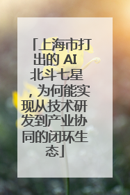 上海市打出的 AI 北斗七星，为何能实现从技术研发到产业协同的闭环生态