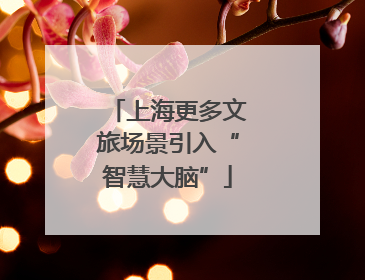 上海更多文旅场景引入“智慧大脑”