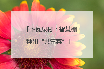 下瓦泉村：智慧棚种出“共富菜”