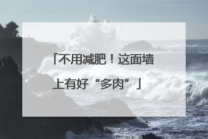 不用减肥！这面墙上有好“多肉”