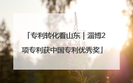 专利转化看山东｜淄博2项专利获中国专利优秀奖