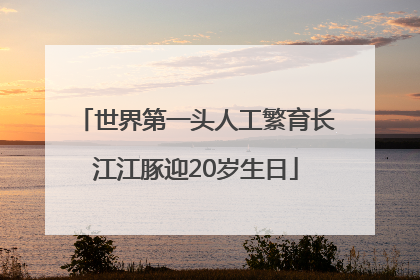 世界第一头人工繁育长江江豚迎20岁生日