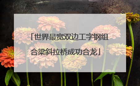 世界最宽双边工字钢组合梁斜拉桥成功合龙