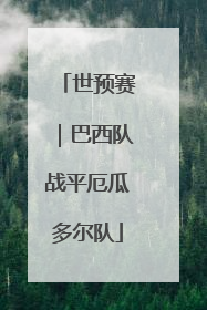 世预赛｜巴西队战平厄瓜多尔队